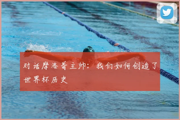 对话摩洛哥主帅：我们如何创造了世界杯历史