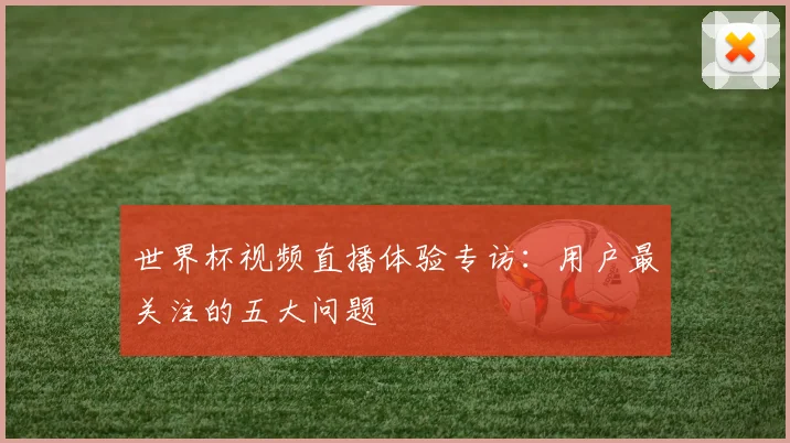 世界杯视频直播体验专访：用户最关注的五大问题