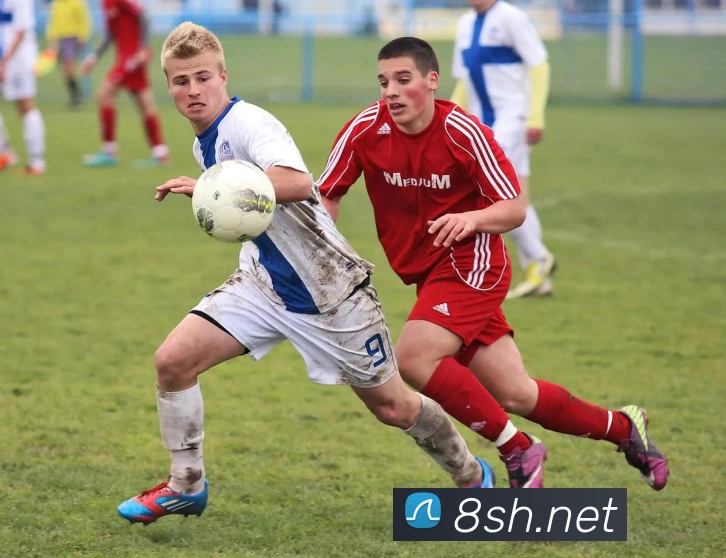 新爱体育app官网发展历程